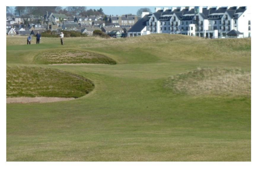 Park House Bed & Breakfast Carnoustie Eksteriør bilde