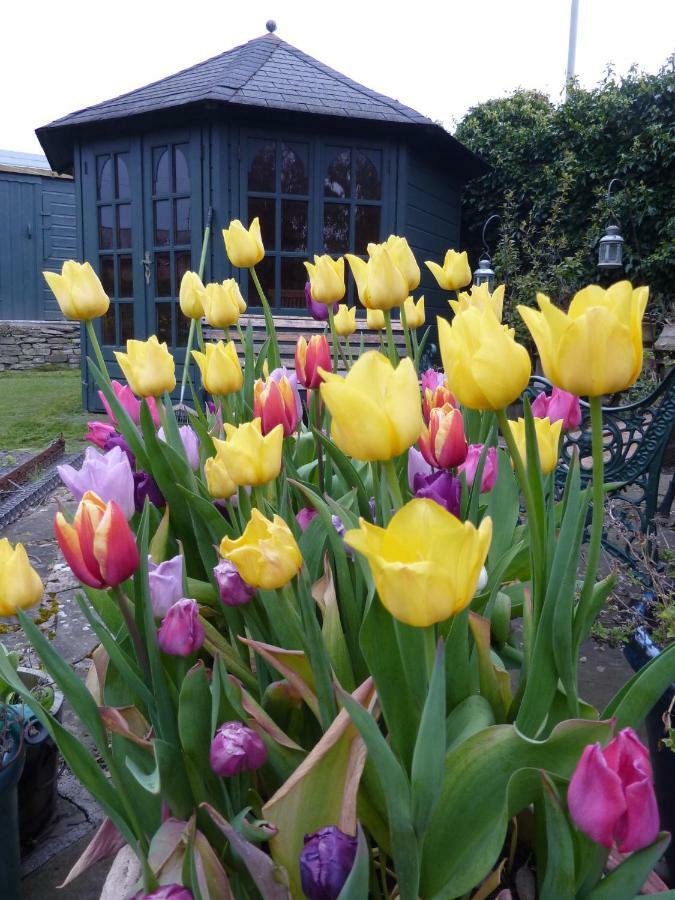 Park House Bed & Breakfast Carnoustie Eksteriør bilde
